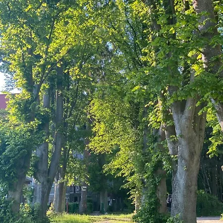 Siesta Pensjonat, Z Placem Zabaw * Rewal