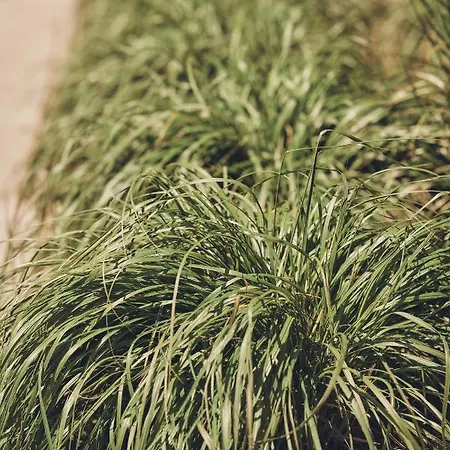 Siesta Pensjonat, 레왈