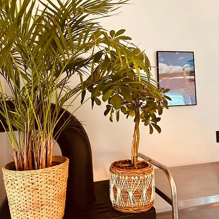 Siesta Pensjonat, 레왈