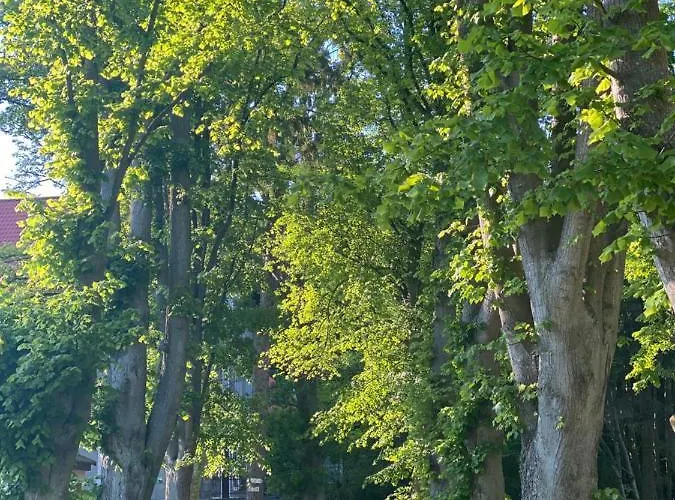 Siesta Pensjonat, * Rewal