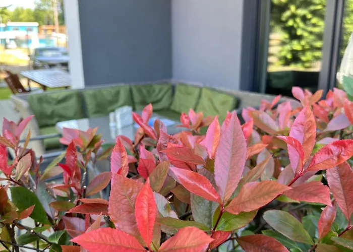 Siesta Pensjonat, * Rewal