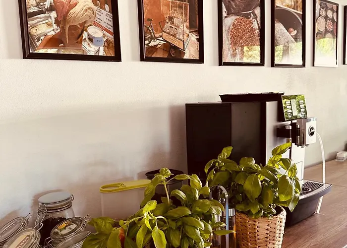 Siesta Pensjonat, Rewal