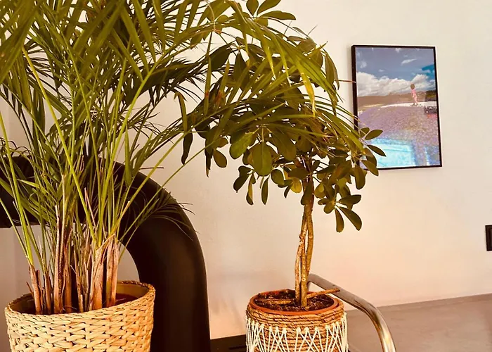 Siesta Pensjonat, Rewal